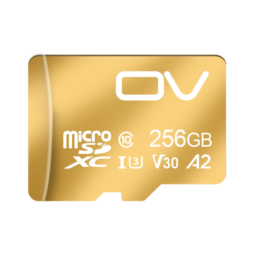 microSD UHS-I V30