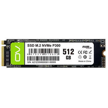 PCIe3.0 NVMe P300